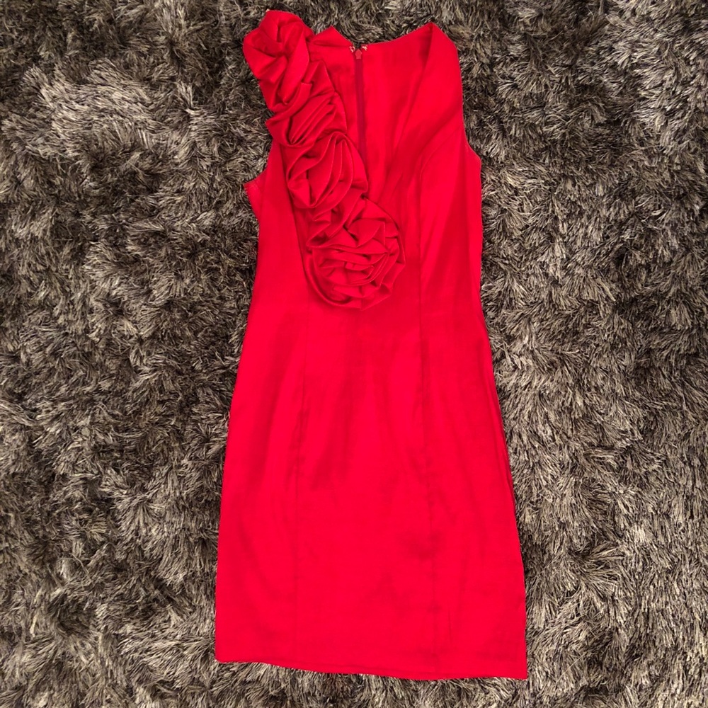 Cachè Cocktail Dress. NEVER WORN!